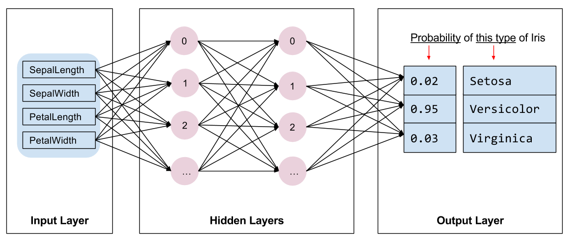 网络架构图：输入、2 个隐藏层和输出