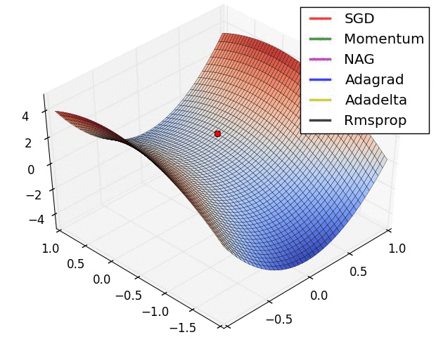 Optimization algorthims visualized over time in 3D space.