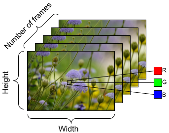 Video data shape